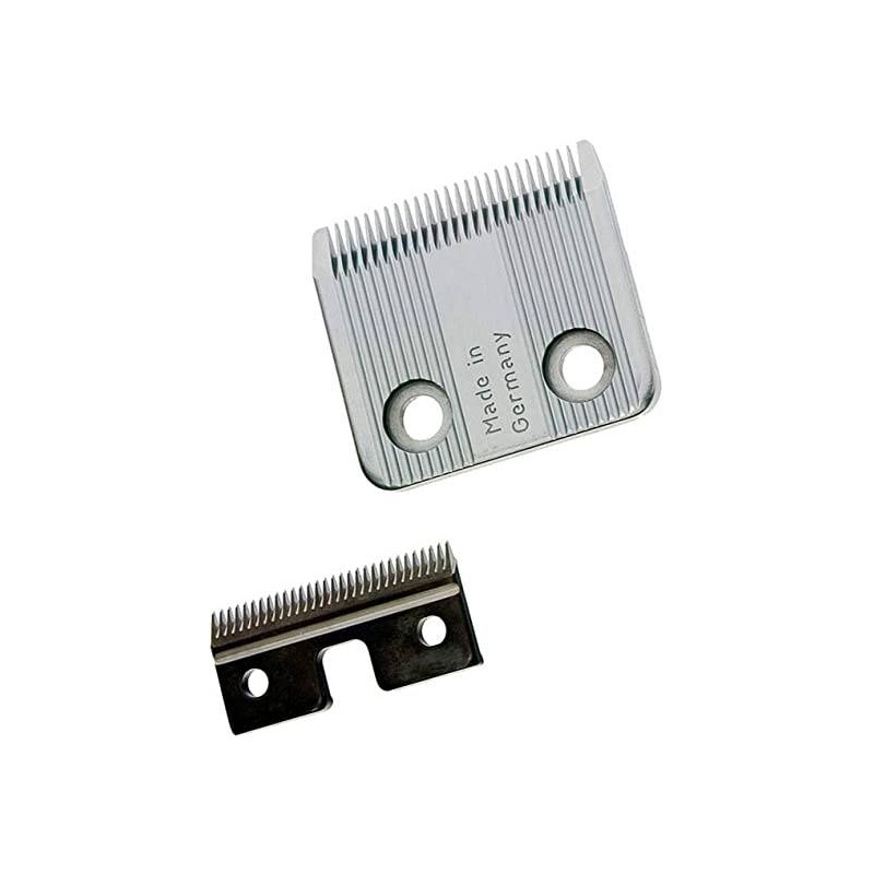 Z834.jpg