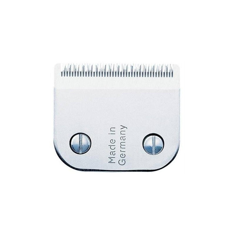 Z854.jpg