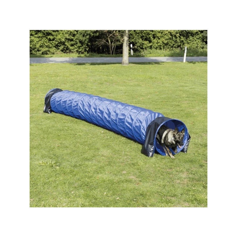 3211.jpg