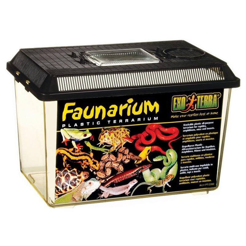 EXO TERRA Faunarium-Terrarium Medium (30x19.5x20.5cm)