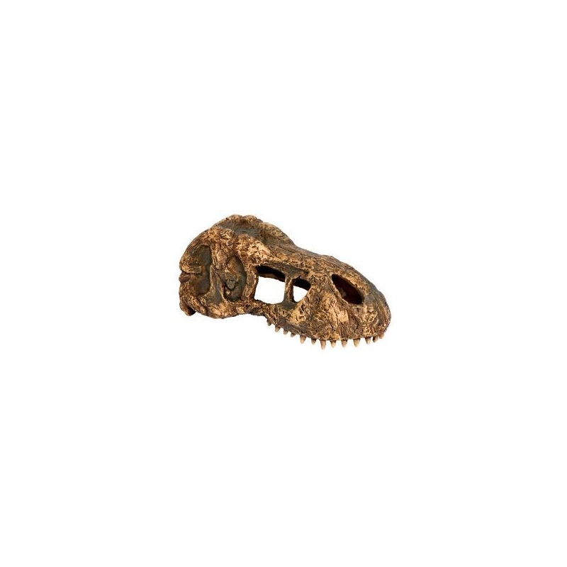 EXO TERRA T-Rex skull (dinosauruse kolju)