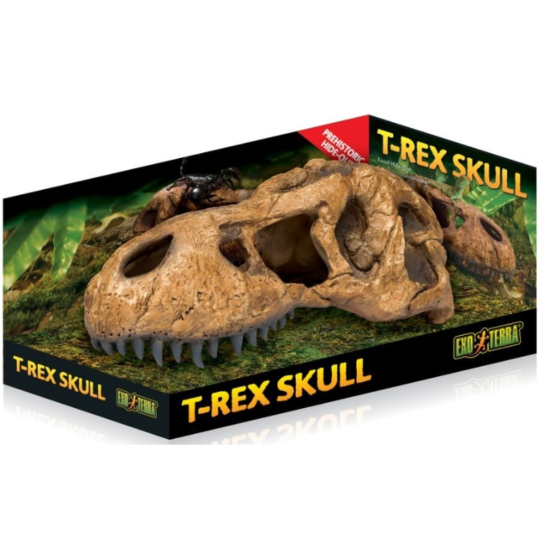 EXO TERRA T-Rex skull (dinosauruse kolju)