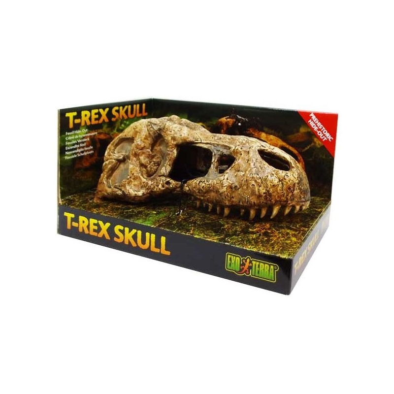 EXO TERRA T-Rex skull (dinosauruse kolju)