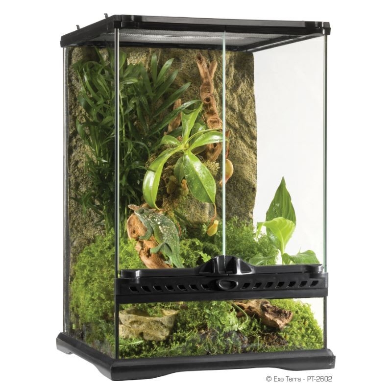 EXO TERRA Mini Tall klaasist terraarium (30x30x45 cm)