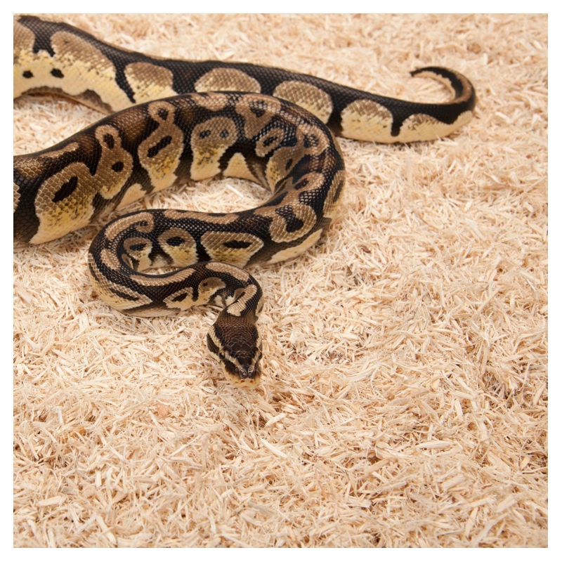 Repti-Zoo Aspen Snake Bedding - pappelkiust substraat 500g