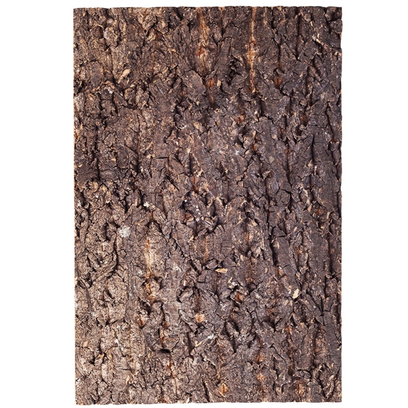 Repti-Zoo Big Tree Background - kooretaust terraariumile 30x45cm