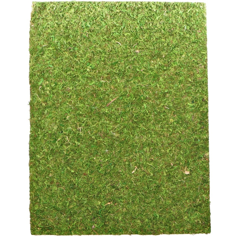 Repti-Zoo Natural Moss Back&ampBottom - taust ja samblasubstraat 50x25cm