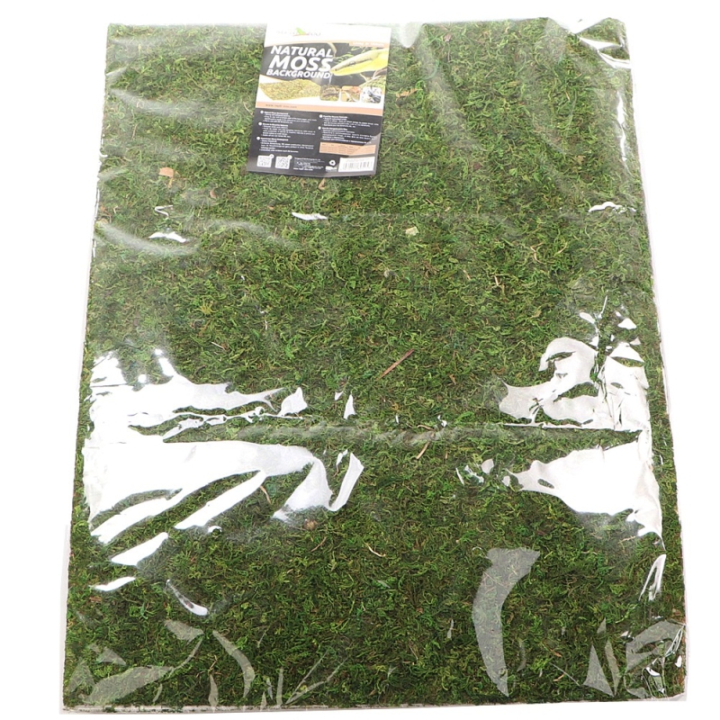 Repti-Zoo Natural Moss Back&ampBottom - taust ja samblasubstraat 50x25cm