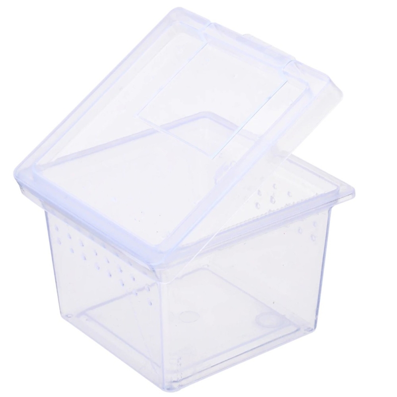 Terrario Insect Box Mini - plastikterraarium 6.5x6.5x4.5cm