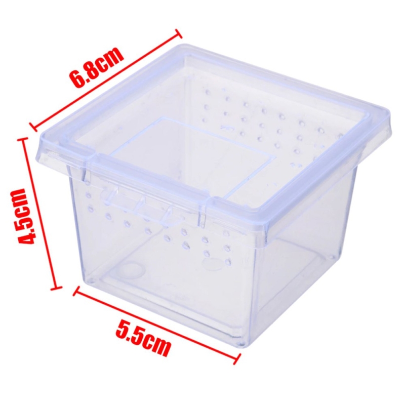 Terrario Insect Box Mini - plastikterraarium 6.5x6.5x4.5cm