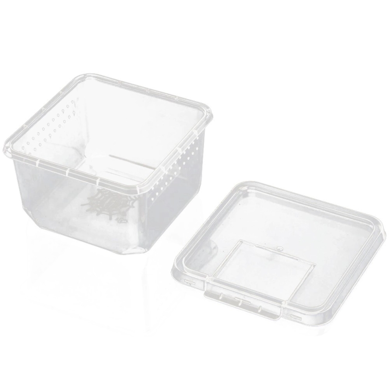 Terrario Insect Box Compact - plastist terraarium 12x12x7cm