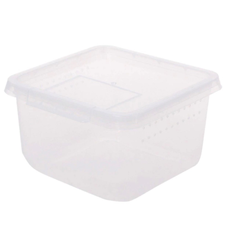 Terrario Insect Box Compact - plastist terraarium 12x12x7cm