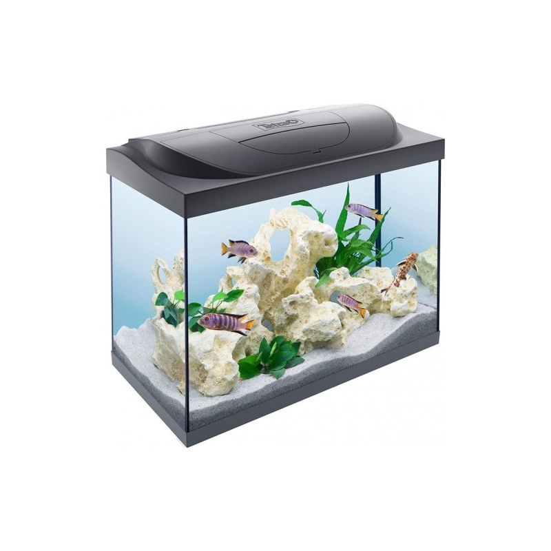 Akvaarium Tetra Starter Line LED, must, 80 l, varustusega