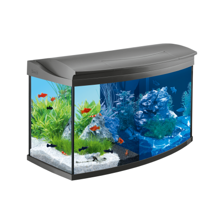 Akvaarium Tetra AquaArt LED Evolution Line, 130 l