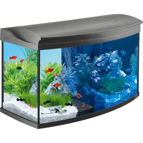 Akvaarium Tetra AquaArt LED Evolution Line, 100 l