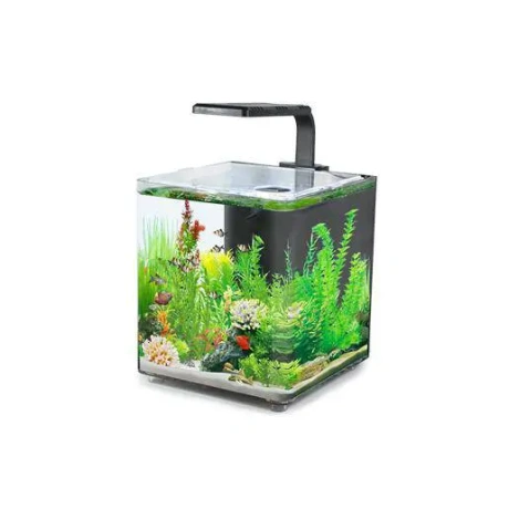 Аквариум AQUACLEAR DESKTOP TANK AC10 9,4л 243x203x233мм
