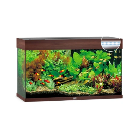 Аквариум Rio LED 125 L тёмное дерево