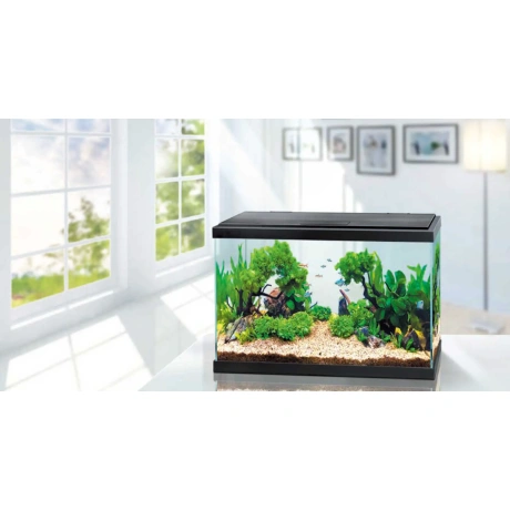 Аквариум WONDER PALACE WP60 56,7л 593x308x366мм