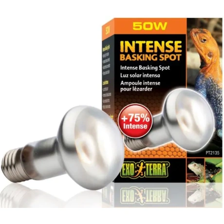 EXO TERRA Intense Basking Spot 50W (нагревательная лампа)
