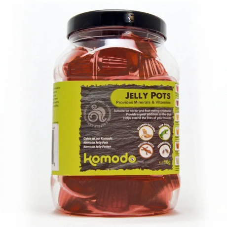 Komodo Jelly Pot Brown Sugar - коричневый сахар в геле 60шт.