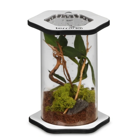 Terrario Spiders Tube Tall100 - акриловый террариум