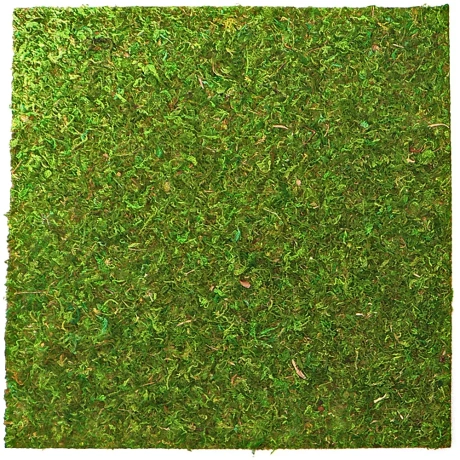 Repti-Zoo Natural Moss Back&ampBottom - моховой фон и субстрат 20x20 см
