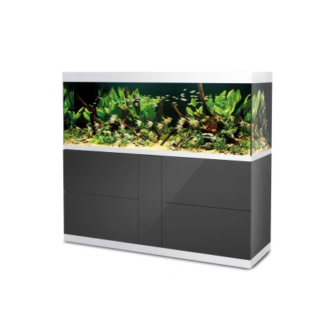 OASE HighLine 600 Optiwhite Anthracite