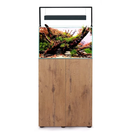 Aquael akvaarium ULTRASCAPE 90 Forest + stend