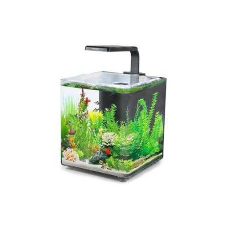 Akvaarium AQUACLEAR DESKTOP TANK AC10 9,4 l 243x203x233mm