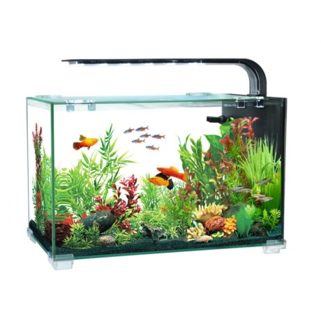 Akvaarium AQUACLEAR DESKTOP TANK AC16 13l 356x206x234mm