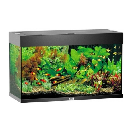**Aquarium Rio 125 L must
