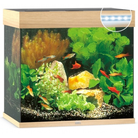 Akvaarium Lido LED 120 L hele puit