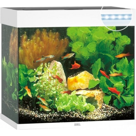 Akvaarium Lido LED 120 L valge