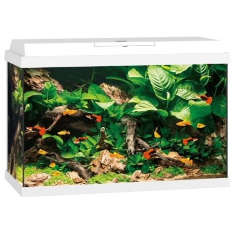 Aquarium Primo LED 70 L valge