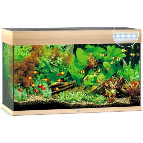 Aquarium Rio LED 125 L hele puit