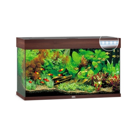 Аквариум Rio LED 125 L тёмное дерево