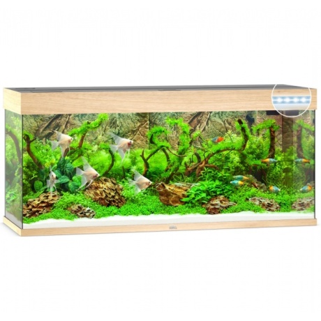 Aquarium Rio LED 240 L hele puit