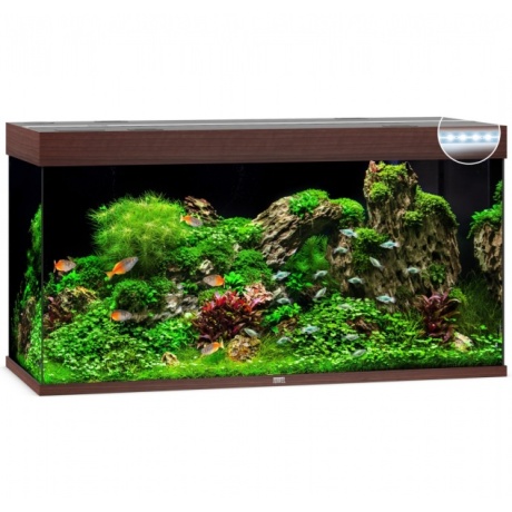 Aquarium Rio LED 350 L tume puit