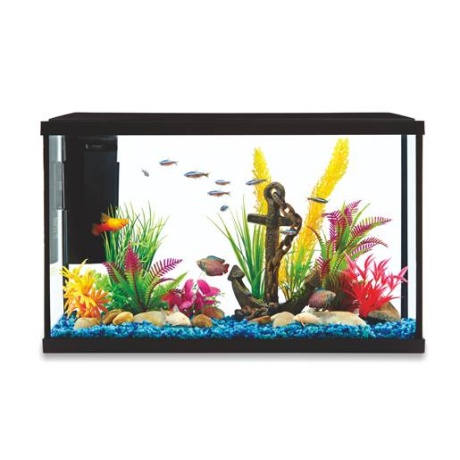 Аквариум STARTER KIT STK10 37.8л 510x256x325мм
