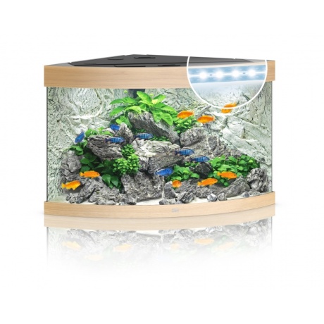 Akvaarium Trigon LED 190 L hele puit