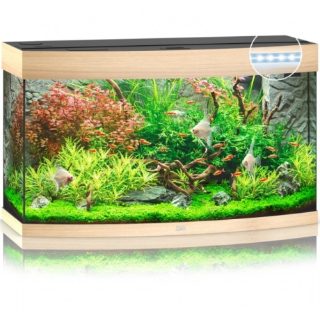 Aquarium Vision LED 180 L hele puit