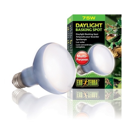 EXO TERRA Daylight Basking Spot 75 W (neodüümküttelamp)