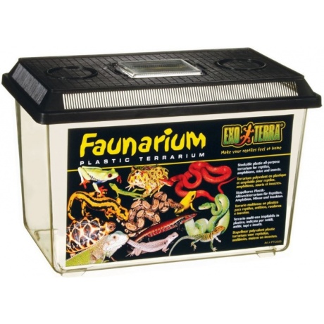 EXO TERRA faunaarium-terrarium suur (37x22x24,5cm)