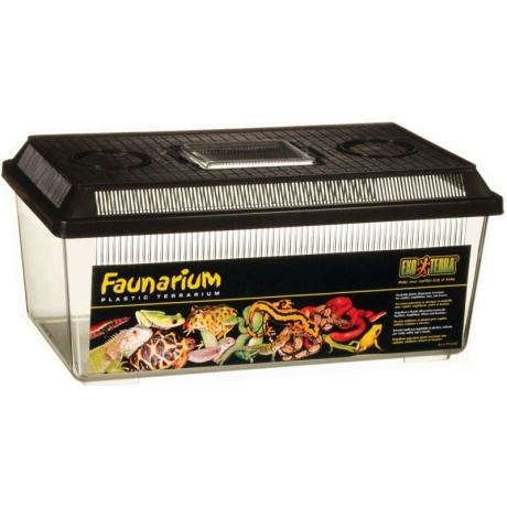 EXO TERRA Faunarium-Terrarium M korter (37x22x16,5cm)