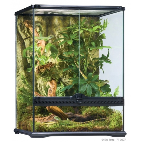 Klaasterraarium EXO TERRA Small High (45x45x60 cm)