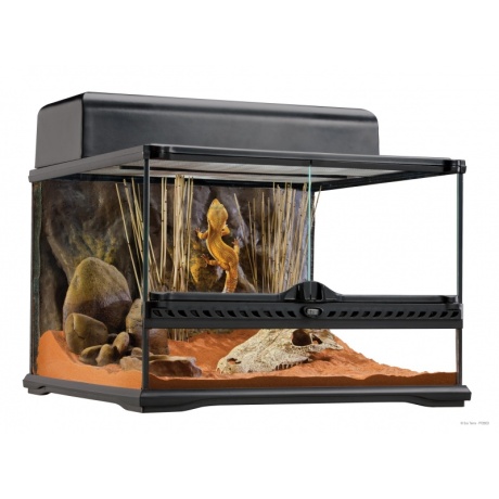 Exo Terra Klaasterraarium Väike Madal 45x45x30 cm