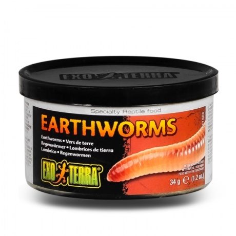 EXO TERRA vihmaussitoit purgis
