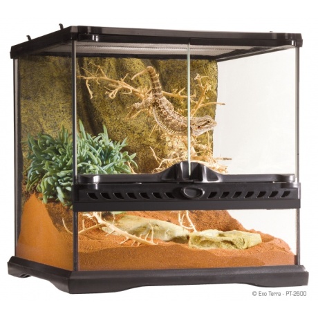 Exo Terra mini lai klaasterraarium (30x30x30 cm)