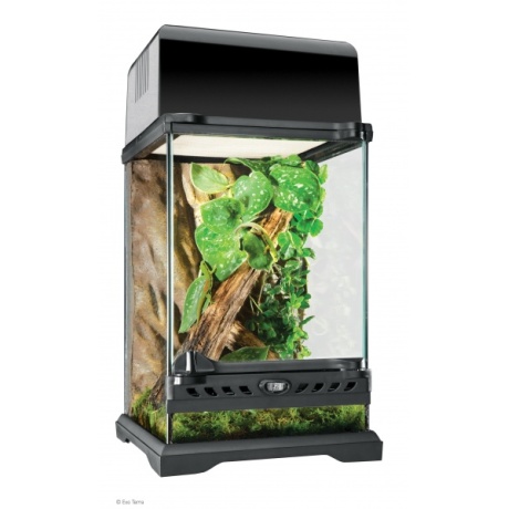 Exo Terra Nano kõrge klaasterraarium 20x20x30 cm
