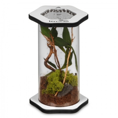 Terrario Spiders Tube Tall150 - Akrüülterraarium
